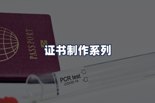 证书制作系列